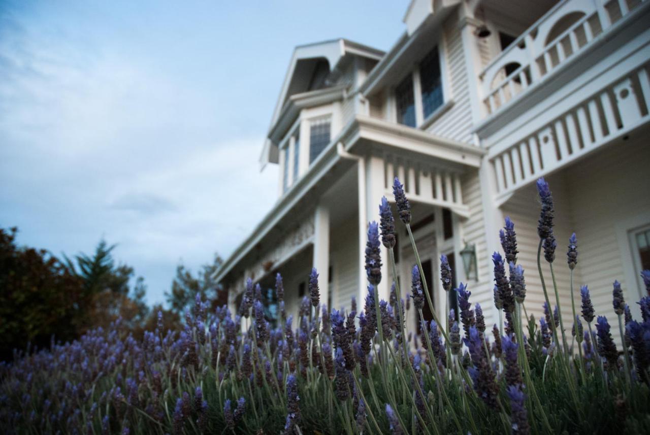 Vynfields Guest House Martinborough Exterior photo